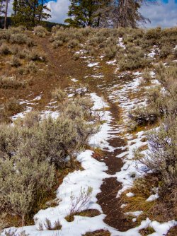 YNP_Day-2_upper_Alum_Cr_Hayden_Valley_bison_trail.jpg YNP_Day-2_upper_Alum_Cr_Hayden_Valley_bison_trail.jpg