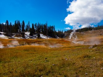 YNP_Day-2_Hayden_Valley_Alum_Creek&Glen_Africa.jpg YNP_Day-2_Hayden_Valley_Alum_Creek&Glen_Africa.jpg