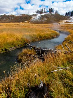 YNP_Day-2_Hayden_Valley_Alum_Creek_crossing.jpg YNP_Day-2_Hayden_Valley_Alum_Creek_crossing.jpg