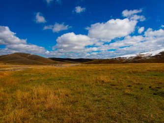 YNP_Day-2_Hayden_Valley_Alum_Creek_bison-3.jpg YNP_Day-2_Hayden_Valley_Alum_Creek_bison-3.jpg