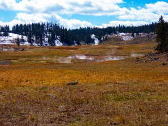 YNP_Day-2_Hayden_Valley_Alum_Creek_Glen_Africa_basin-1.jpg YNP_Day-2_Hayden_Valley_Alum_Creek_Glen_Africa_basin-1.jpg