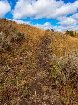 YNP_Day-2_Hayden_Valley_Alum_Creek_bison_trail.jpg YNP_Day-2_Hayden_Valley_Alum_Creek_bison_trail.jpg