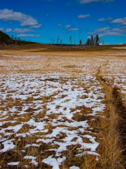 YNP_Day-2_Hayden_Valley_Alum_Creek_N_Mary_Mtn_trail.jpg YNP_Day-2_Hayden_Valley_Alum_Creek_N_Mary_Mtn_trail.jpg