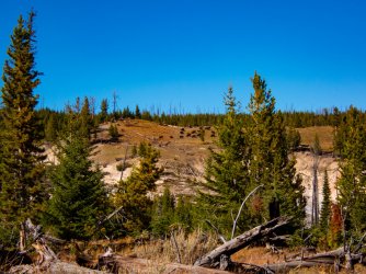 YNP_Day-2_Hayden_Valley_Violet_Cr_thermals_bison-1.jpg YNP_Day-2_Hayden_Valley_Violet_Cr_thermals_bison-1.jpg