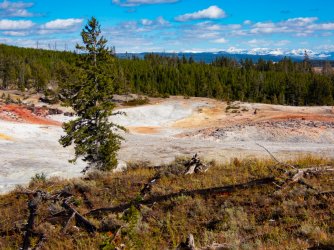 YNP_Day-2_Hayden_Valley_Violet_Cr_thermals.jpg YNP_Day-2_Hayden_Valley_Violet_Cr_thermals.jpg