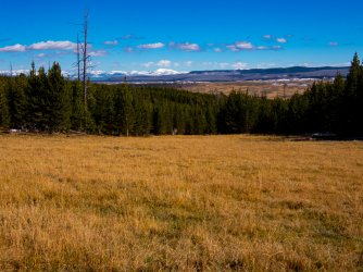 YNP_Day-2_Hayden_Valley_Violet_Cr_thermals_meadow-1.jpg YNP_Day-2_Hayden_Valley_Violet_Cr_thermals_meadow-1.jpg