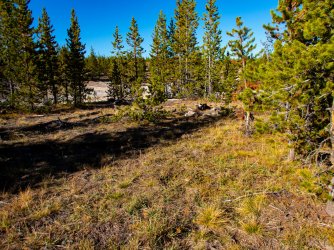 YNP_Day-2_Hayden_Valley_Violet_Cr_route_N.jpg YNP_Day-2_Hayden_Valley_Violet_Cr_route_N.jpg