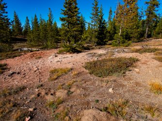 YNP_Day-2_Otter_Cr_area_route_N.jpg YNP_Day-2_Otter_Cr_area_route_N.jpg