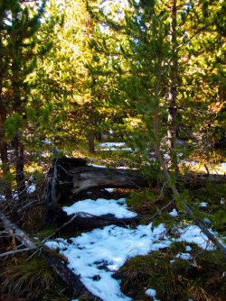YNP_Day-2_Otter_Cr_area_route_N-1-2.jpg YNP_Day-2_Otter_Cr_area_route_N-1-2.jpg