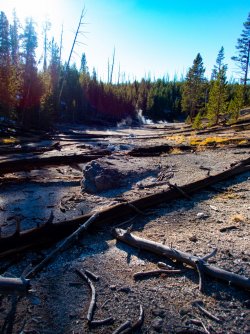 YNP_Day-2_Otter_Cr_area_thermals.jpg YNP_Day-2_Otter_Cr_area_thermals.jpg