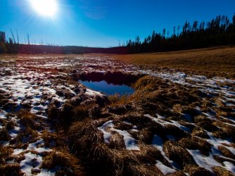YNP_Day-2_Otter_Cr_puddle-1.jpg YNP_Day-2_Otter_Cr_puddle-1.jpg