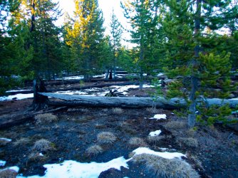 YNP_Day-2_route_N.jpg YNP_Day-2_route_N.jpg