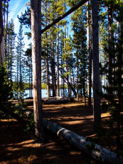 YNP_Day-3_Ice_L_CS_4D2-2.jpg YNP_Day-3_Ice_L_CS_4D2-2.jpg