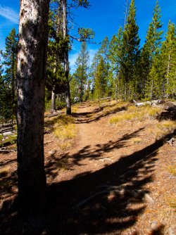 YNP_Day-3_Solfatara_Trail.jpg YNP_Day-3_Solfatara_Trail.jpg
