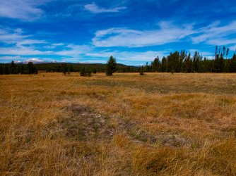YNP_Day-3_Solfatara_Cr_meadows&Mt_Holmes-2.jpg YNP_Day-3_Solfatara_Cr_meadows&Mt_Holmes-2.jpg