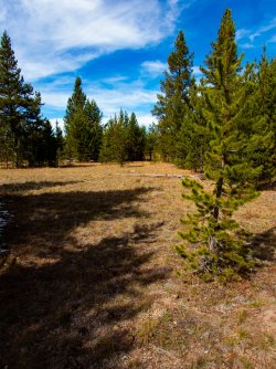 YNP_Day-3_Solfatara_Cr_route.jpg YNP_Day-3_Solfatara_Cr_route.jpg