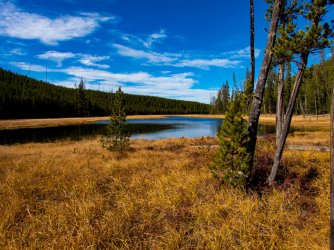 YNP_Day-3_Solfatara_Cr_meadow&pond-2.jpg YNP_Day-3_Solfatara_Cr_meadow&pond-2.jpg