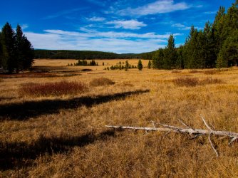 YNP_Day-3_Solfatara_Cr_into_big_meadow.jpg YNP_Day-3_Solfatara_Cr_into_big_meadow.jpg