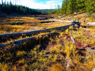 YNP_Day-3_Solfatara_Cr_way_up_valley.jpg YNP_Day-3_Solfatara_Cr_way_up_valley.jpg