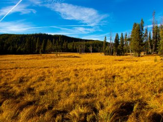 YNP_Day-3_Solfatara_Cr_looking_up_valley.jpg YNP_Day-3_Solfatara_Cr_looking_up_valley.jpg