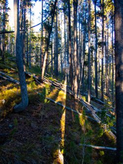 YNP_Day-3_Solfatara_Cr_wrong_valley.jpg YNP_Day-3_Solfatara_Cr_wrong_valley.jpg