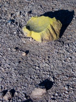 YNP_Day-4_Solfatara_Cr_Horse_Shoe_Hill_thermal_area_sulphur-1.jpg YNP_Day-4_Solfatara_Cr_Horse_Shoe_Hill_thermal_area_sulphur-1.jpg