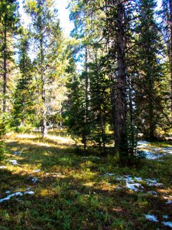 YNP_Day-4_Solfatara_Cr_Horse_Shoe_Hill_thermal_area_N_route-1.jpg YNP_Day-4_Solfatara_Cr_Horse_Shoe_Hill_thermal_area_N_route-1.jpg