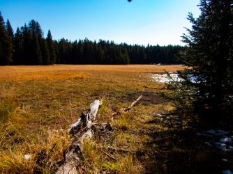 YNP_Day-4_Solfatara_Cr_Horse_Shoe_Hill_E_meadow.jpg YNP_Day-4_Solfatara_Cr_Horse_Shoe_Hill_E_meadow.jpg
