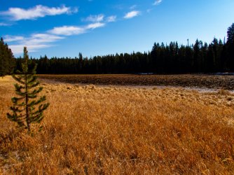 YNP_Day-4_Lava_Cr_pond.jpg YNP_Day-4_Lava_Cr_pond.jpg