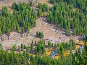 YNP_Day-4_Lava_Cr&bison-1.jpg YNP_Day-4_Lava_Cr&bison-1.jpg