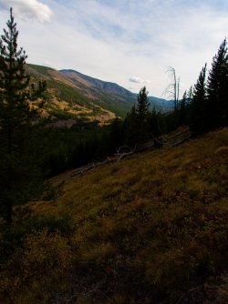 YNP_Day-4_Lava_Cr_sideslope_up_valley-1.jpg YNP_Day-4_Lava_Cr_sideslope_up_valley-1.jpg