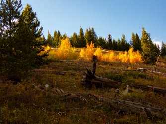 YNP_Day-4_Lava_Cr_sideslope_colors-1.jpg YNP_Day-4_Lava_Cr_sideslope_colors-1.jpg