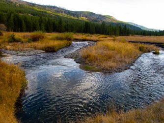 YNP_Day-4_Lava_Cr_up_valley-1.jpg YNP_Day-4_Lava_Cr_up_valley-1.jpg