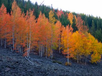 YNP_Day-4_Lava_Cr_colors&rock-5.jpg YNP_Day-4_Lava_Cr_colors&rock-5.jpg