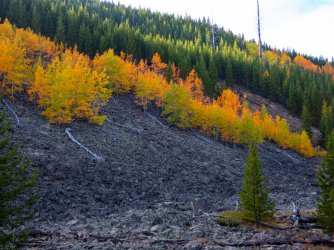 YNP_Day-4_Lava_Cr_colors&rock-1-2.jpg YNP_Day-4_Lava_Cr_colors&rock-1-2.jpg