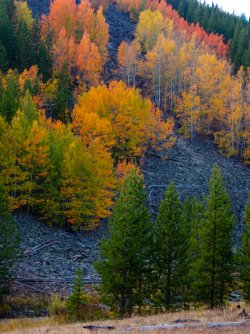 YNP_Day-4_Lava_Cr_colors&rock-5-2.jpg YNP_Day-4_Lava_Cr_colors&rock-5-2.jpg