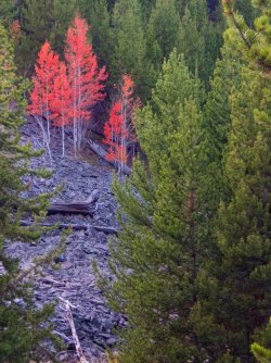 YNP_Day-4_Lava_Cr_colors-9.jpg YNP_Day-4_Lava_Cr_colors-9.jpg