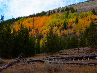 YNP_Day-4_Lava_Cr_sage&colors-5.jpg YNP_Day-4_Lava_Cr_sage&colors-5.jpg