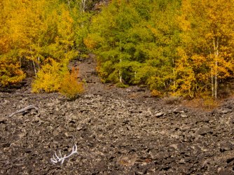 YNP_Day-4_Lava_Cr_bear_elk_antlers&rock-2.jpg YNP_Day-4_Lava_Cr_bear_elk_antlers&rock-2.jpg
