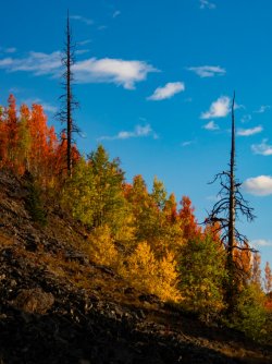 YNP_Day-4_Lava_Cr_colors&rock-6-2.jpg YNP_Day-4_Lava_Cr_colors&rock-6-2.jpg