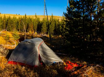 YNP_Day-5_Lava_Cr_camp-4_scene-2.jpg YNP_Day-5_Lava_Cr_camp-4_scene-2.jpg