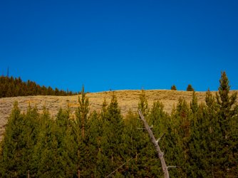 YNP_Day-5_Lava_Cr_camp-4_elk_ridge.jpg YNP_Day-5_Lava_Cr_camp-4_elk_ridge.jpg