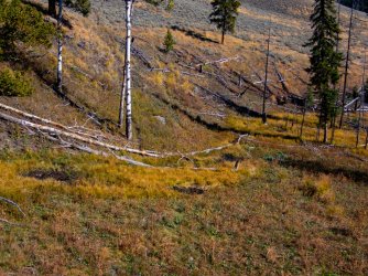 YNP_Day-5_Lava_Cr_elk_wallows.jpg YNP_Day-5_Lava_Cr_elk_wallows.jpg
