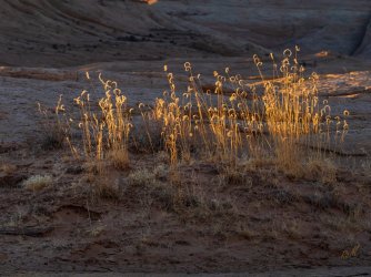 RCM00071- 2-2022-220220-21 (2).jpg