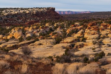 RCM00353- 2-2022-220220-45.jpg