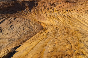 RCM09629- 2-2022-220219-4.jpg