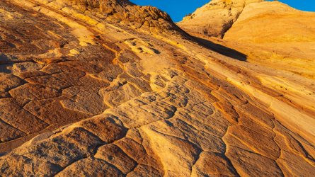 RCM09779-2022-220219-66 (2).jpg