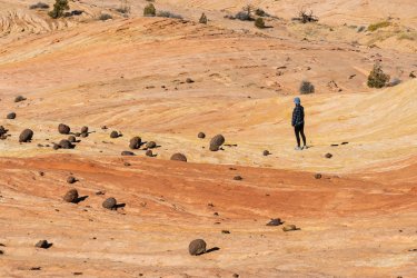 RCM00274-Desert Cr Wandering 2-2022-220220-46.jpg