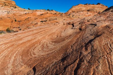 RCM04570-Spencer Flats 11-2021-211126-54.jpg