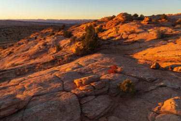 RCM05528-Spencer Flats 11-2021-211128-29.jpg